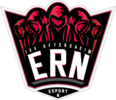 ESport Rhein-Neckar logo