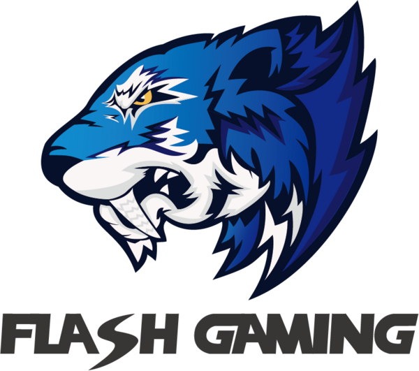 Flash Gaming logo
