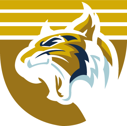 User:Chauri/Sentinel eSports logo