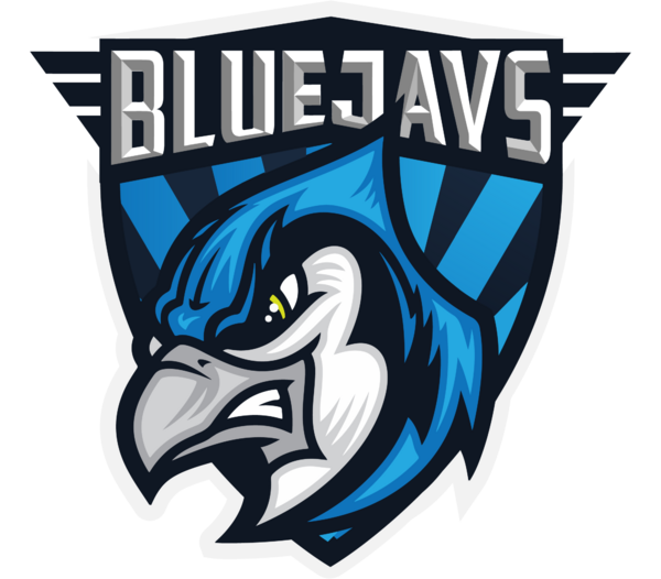 BLUEJAYS International logo