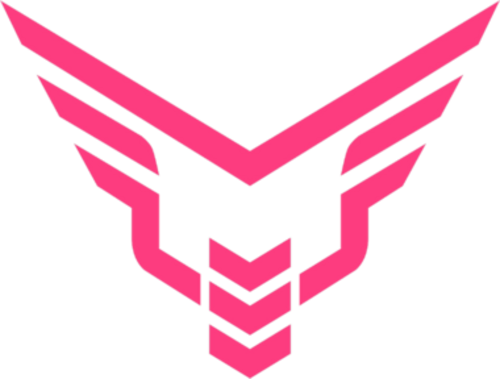 Take Flyte Cs Go logo