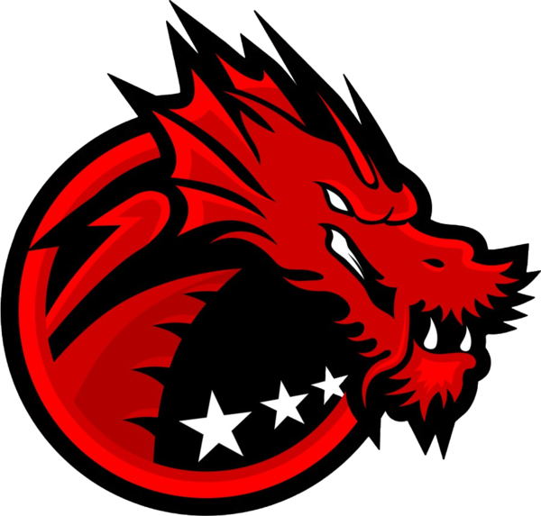Binary Dragons logo